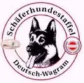 Andrea Frischengruber