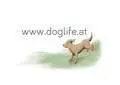 Doglife