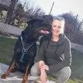 Hunde verstehen