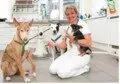 Tierarztpraxis und Hundeschule