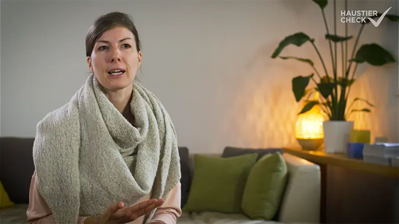 Video ansehen